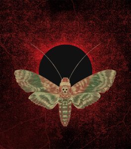 Words and images . Street spirit