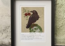 274695249_3107748842796229_2781440938514106860_n