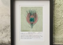 275890501_3107748979462882_1188761672052739143_n