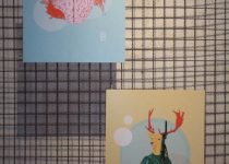 325182343_1809207852805790_7476853542611120220_n