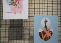 325227818_555067436534665_2449822637811932995_n